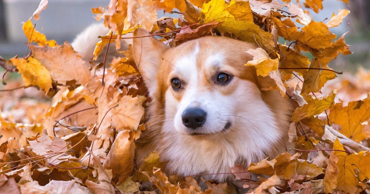 Прогноз погоди