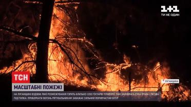 Під час пожеж у Луганській області загинула людина