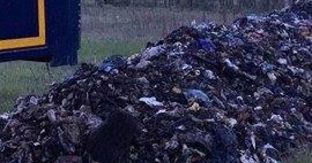 сміття київщина погане фото_1