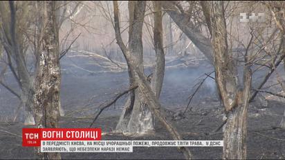 Сухостій на Осокорках загорівся через підпал або необережне поводження з вогнем