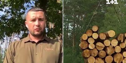 В Украине запускают интернет-магазин дров: какие цены