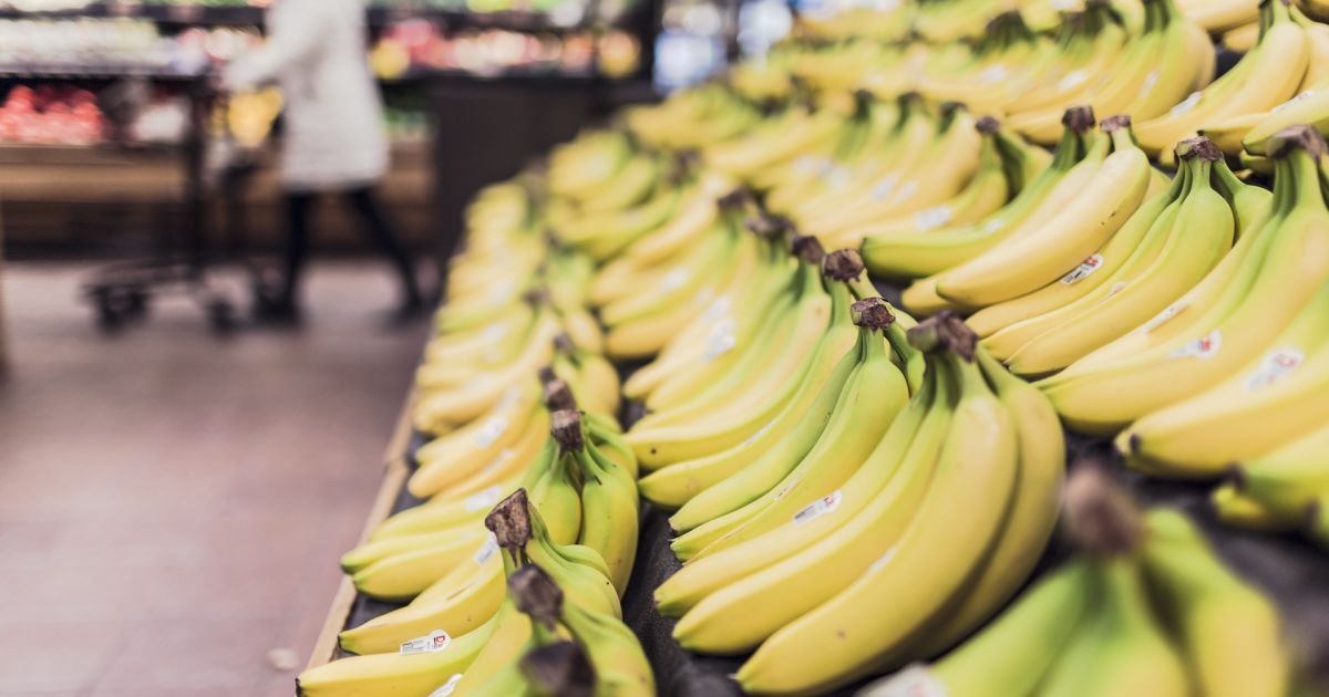 Record Seizure of Cocaine Hidden Among Bananas in Czech Republic