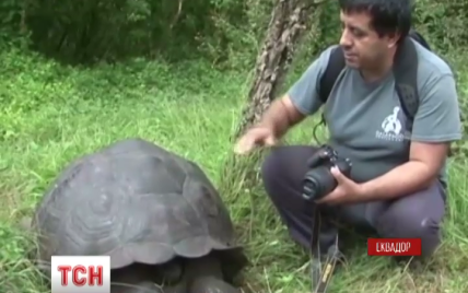 Ученые обнаружили неизвестный вид гигантских черепах "Дон Фаусто"