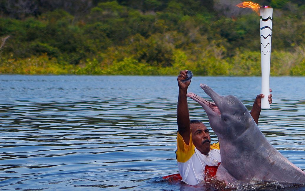 20 червня. Місцевий мешканець Даві Соуза дає рибу дельфіну під час участі в естафеті Олімпійського вогню у річці Солімоес. / © Reuters