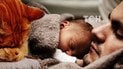 Як встигати висипатися восени і взимку