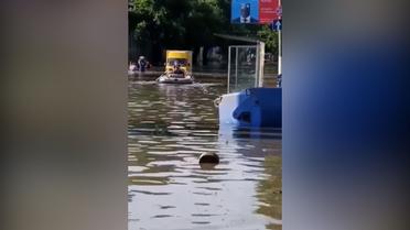 Одесса приходит в себя после ночной непогоды