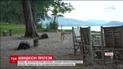 В Таиланде сделали высокотехнологические протезы псу, который потерял передние конечности