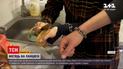 Новини України: прикута ланцюгами пара розповіла ла, як мириться після сварок