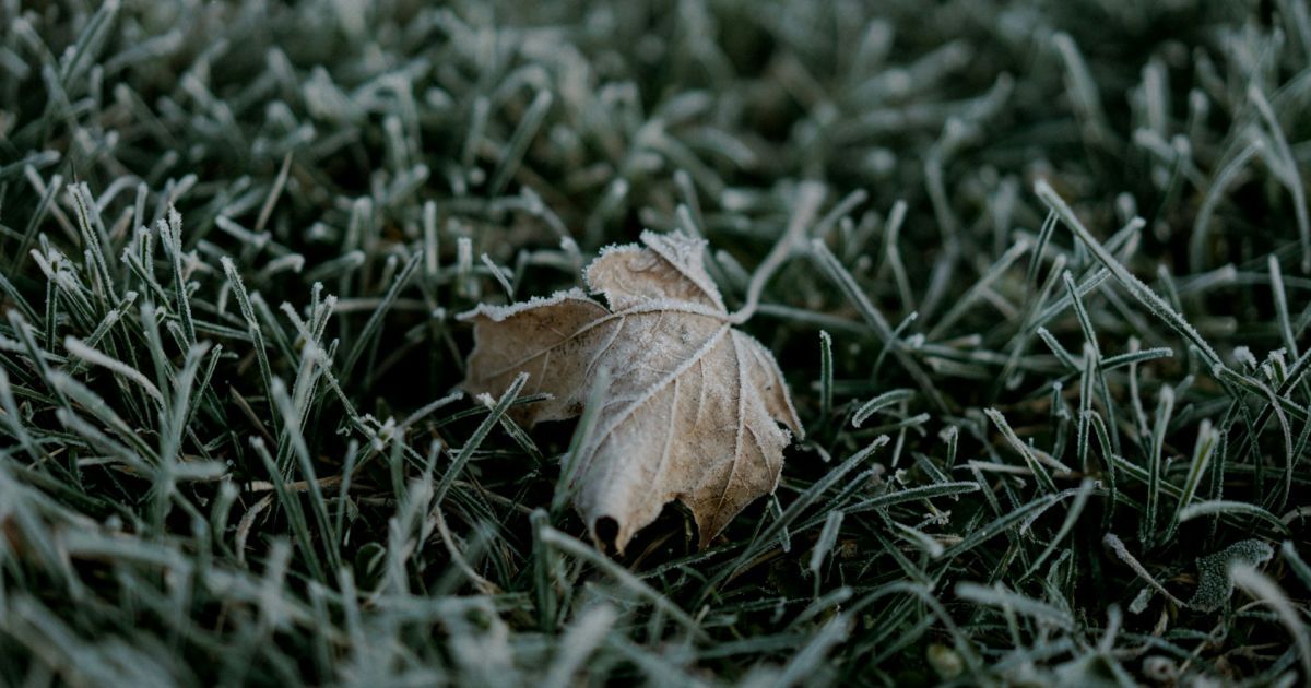 Прогноз погоды на 8-18 октября.