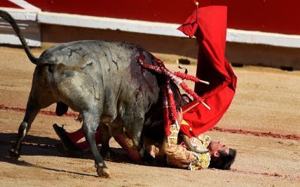 В Іспанії хочуть вбити матір бика, який на смерть пронизав рогами матадора