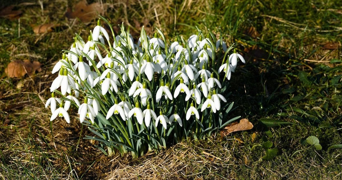 Погода зміниться