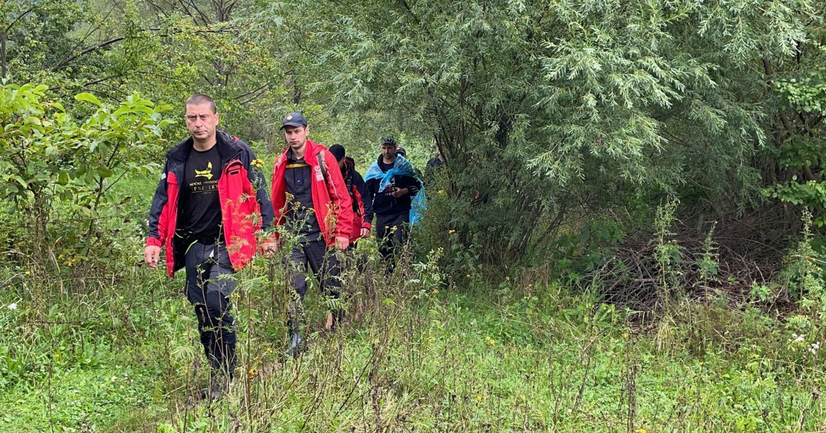 Пошуки зниклого грибника на Буковині_12 / © УГСЧС Украины в Черновицкой области