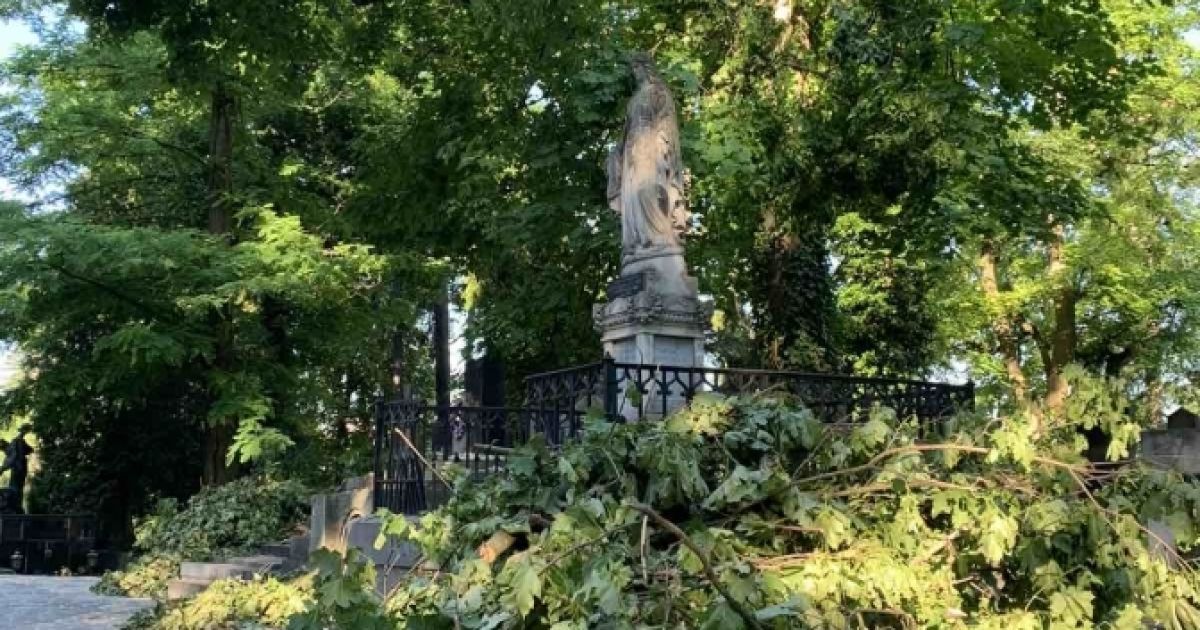 Во Львове непогода уничтожила более 100 старых надгробий на Лычаковском кладбище: некоторые восстановить невозможно
