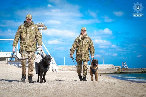 Кинологи со служебными собаками. Фото: страница А. Небитова в соцсети.