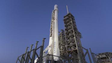ракета SpaceX_1 / © SpaceX/Twitter