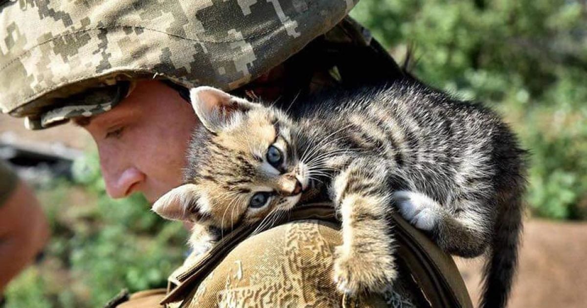 "Ми пів року молилися, щоб ви повернулись": у Балаклії зі сльозами на очах зустрічали ЗСУ