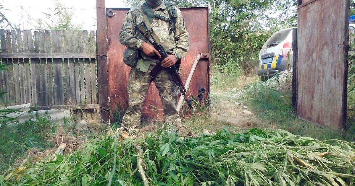 конопля, одещина_2 / © Державна прикордонна служба України