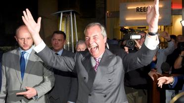 прихильники Brexit_5 / © Reuters