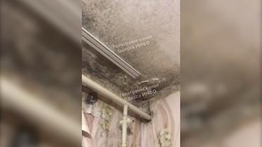 "Гріємося пляшками з окропом": в Одесі студенти показали, як живуть в гуртожитку