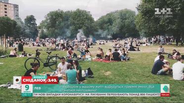 Как устраивают пикники в разных странах: интересные факты