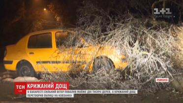 У Бухаресті зливи перетворили вулиці на ковзанку, а гілки дерев - на суцільні бурульки