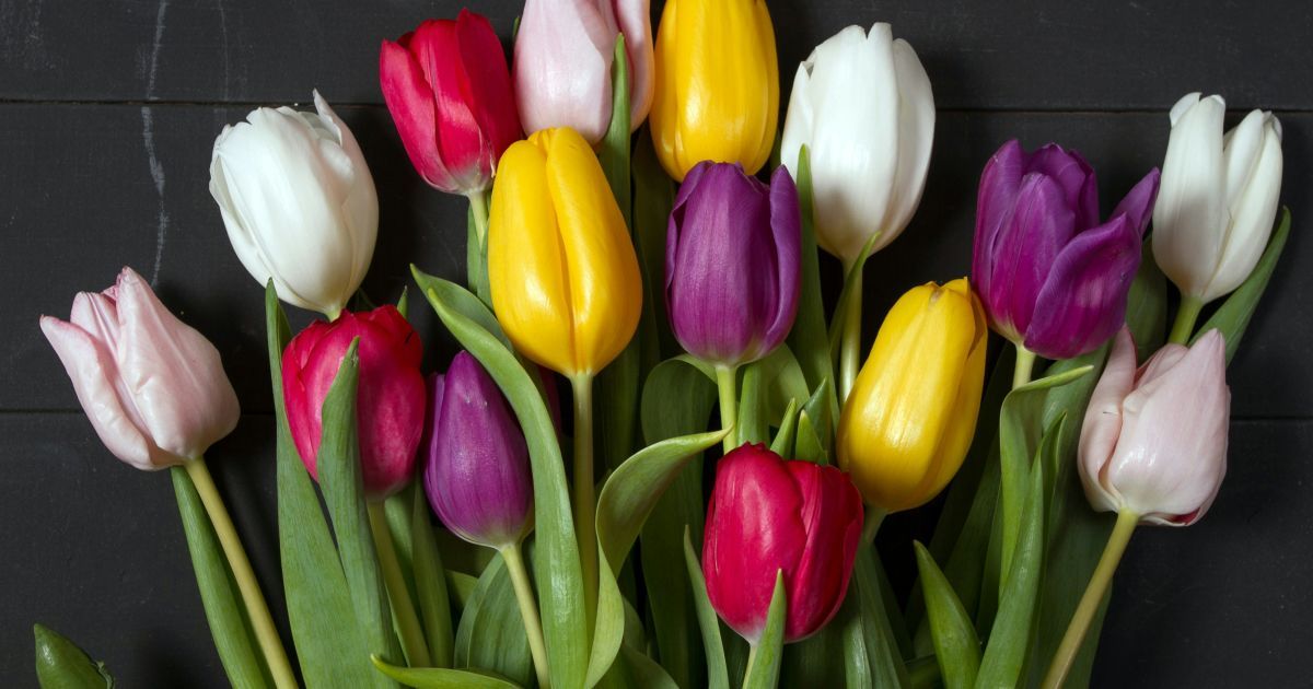 Какой сегодня 25 июля день ангела