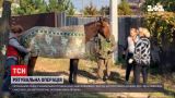 Новини України: у Кривому Розі рятувальники витягли коня з ями