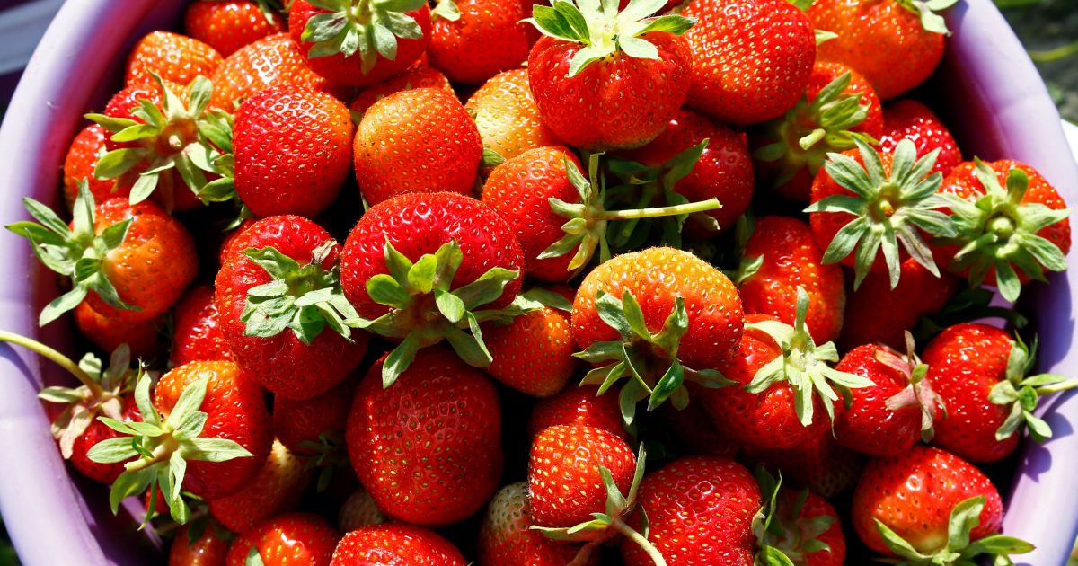 Красная клубника без красного: в Сети появилось продолжение эпопеи с цветом платья