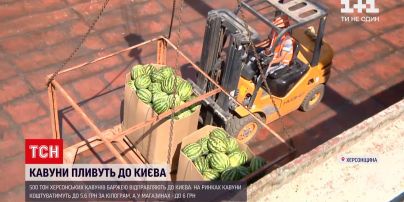 Новости Украины: 500 тонн херсонских арбузов баржей отправляются в Киев