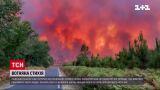 Франція та Чорногорія у вогні та диму, знищено тисячі гектарів лісу