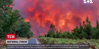 Франція та Чорногорія у вогні та диму, знищено тисячі гектарів лісу