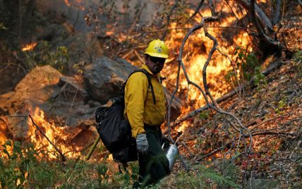 У Каліфорнії в США вирує масштабна лісова пожежа – евакуйовують сотні людей