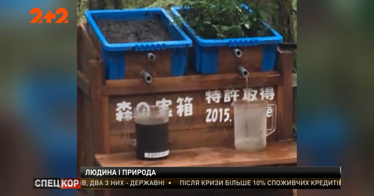 Как бездумное отношение человека к природе приводит к катастрофическим последствиям