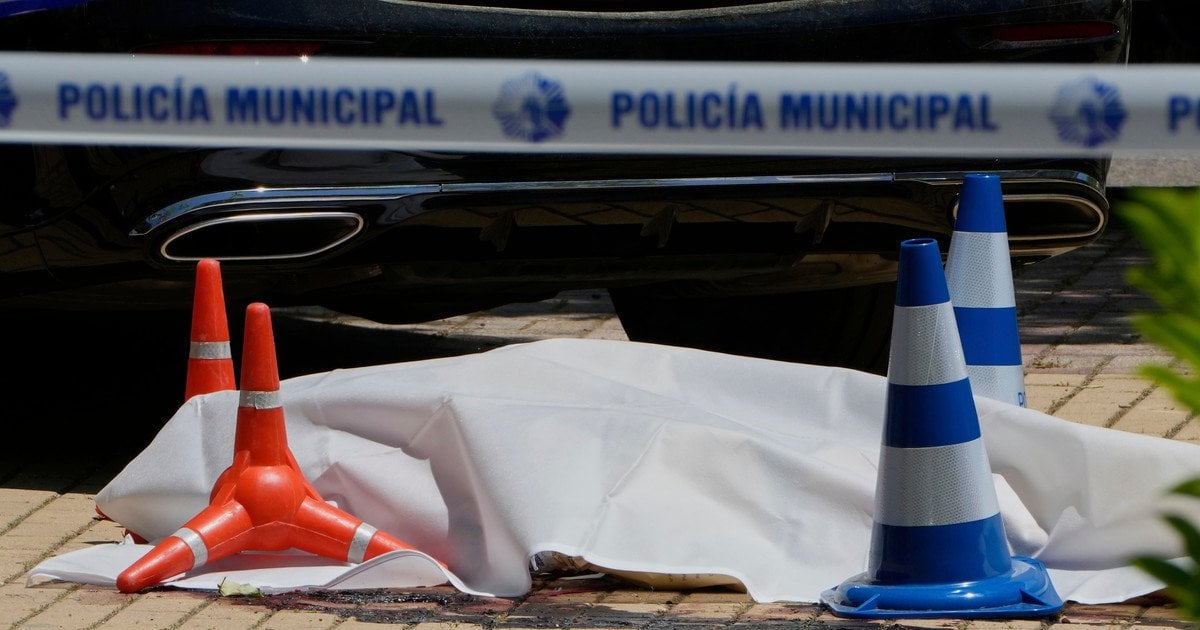 Вбивство Портнова: спливли нові факти про підозрюваного — розслідування (фото)