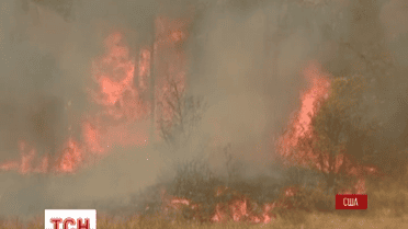 Сотні жителів американського штату Техас евакуйовані через масштабну лісову пожежу