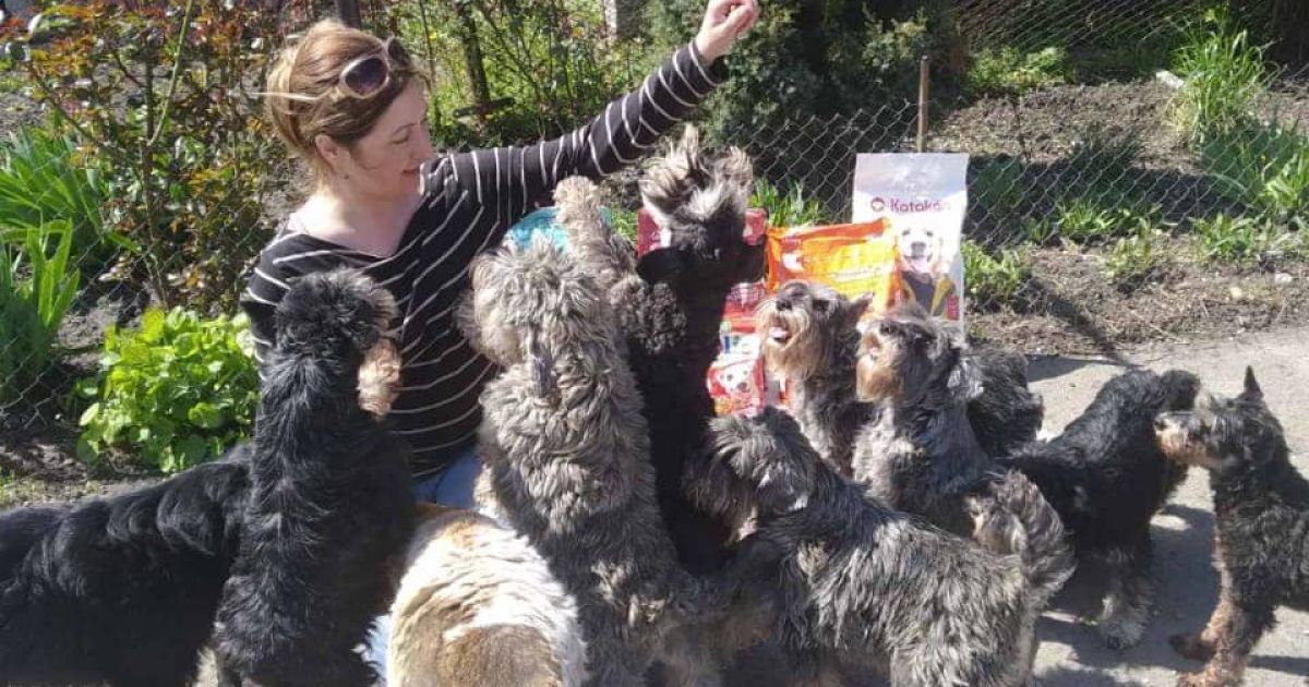 допомога дітям від військових об'єднаних сил_4 / © Facebook / Командование объединенных сил ВС Украины