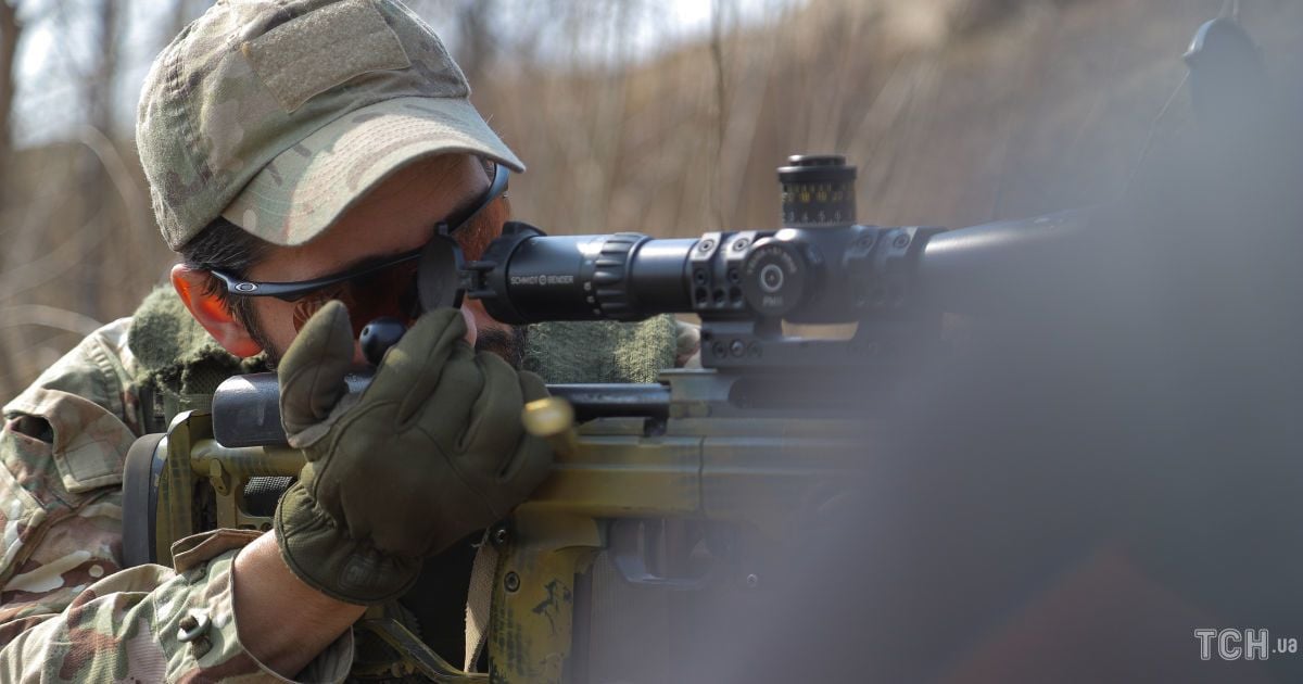 Уолли / © Нина Грушецкая