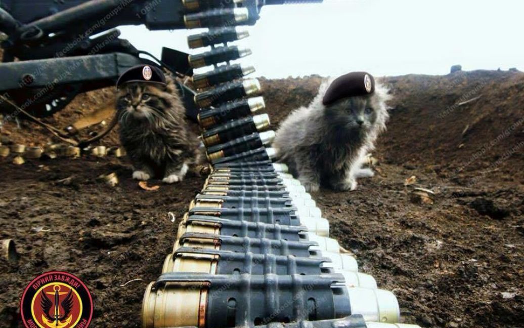 Наименьшие боевые побратимы / © facebook.com/theministryofdefence.ua