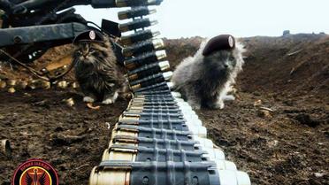 Наименьшие боевые побратимы / © facebook.com/theministryofdefence.ua