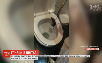 У Кропивницькому мешканка багатоповерхівки знайшла в туалеті живого щура