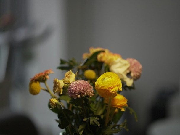 День ангела 23 листопада — душевні привітання в прозі / © unsplash.com