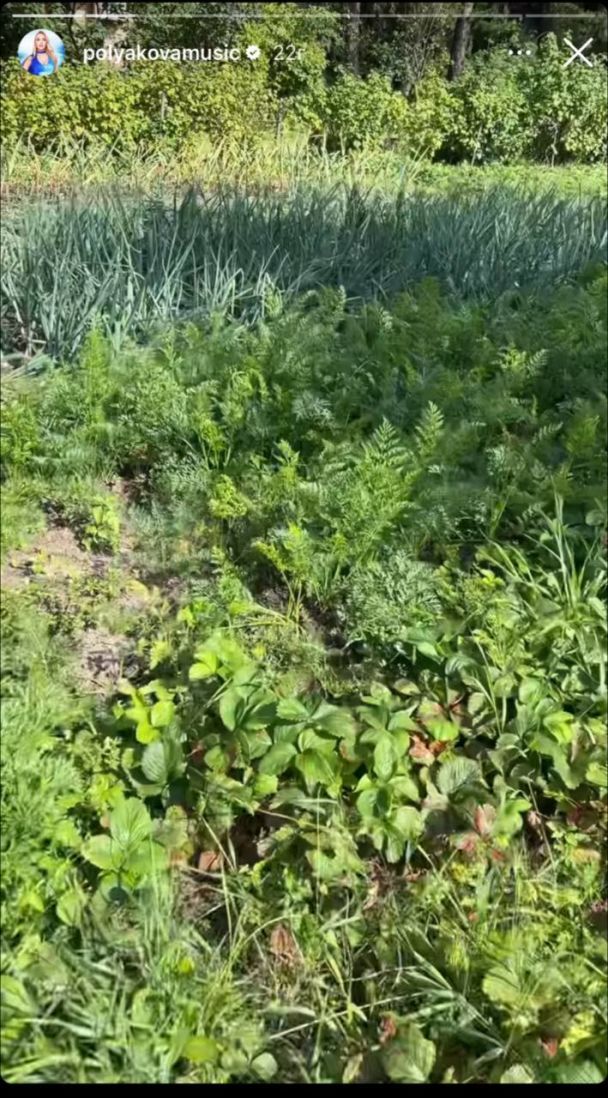 Урожай Оля Полякова / © instagram.com/polyakovamusic