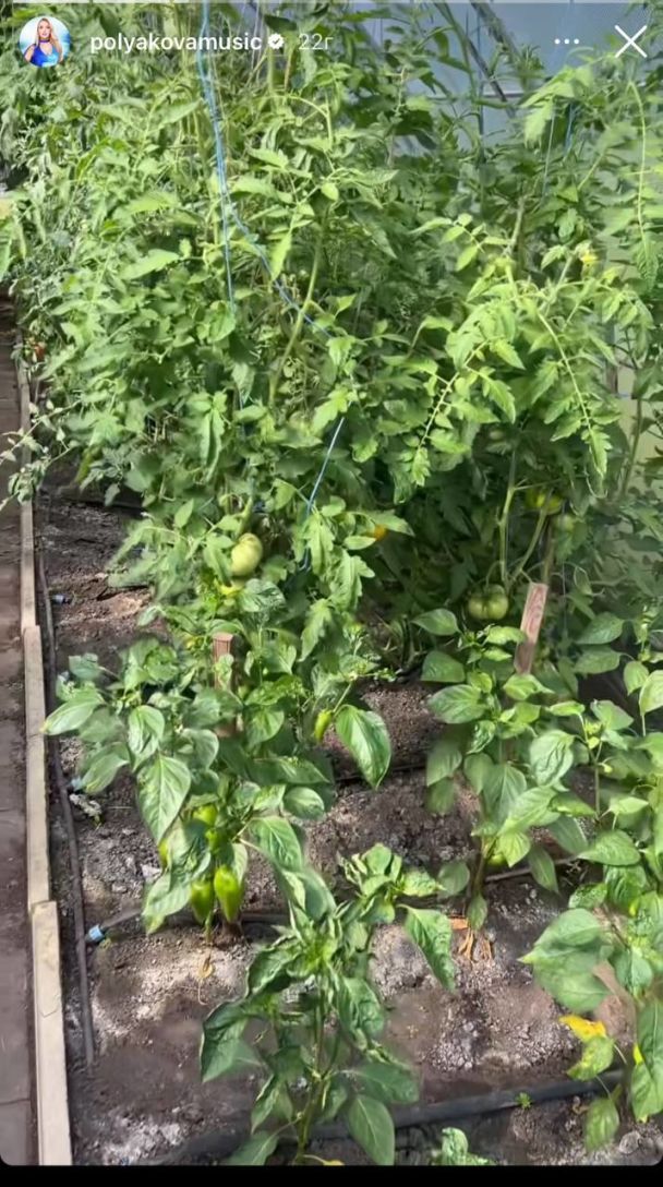 Урожай Оля Полякова / © instagram.com/polyakovamusic