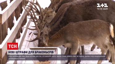 Уряд запровадив нові штрафи для браконьєрів | Новини України