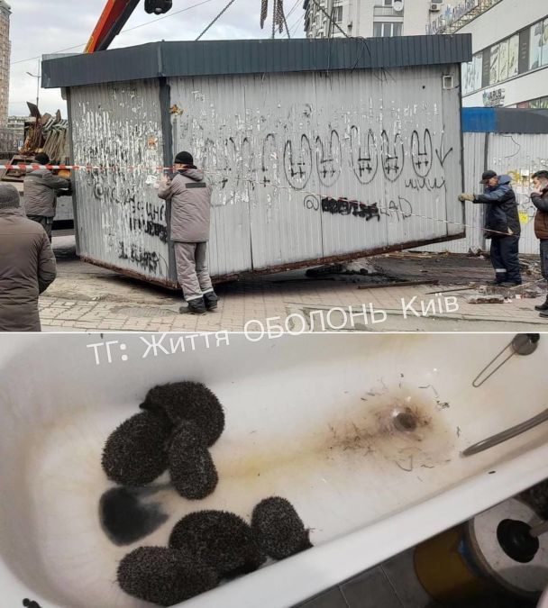  / © из соцсетей