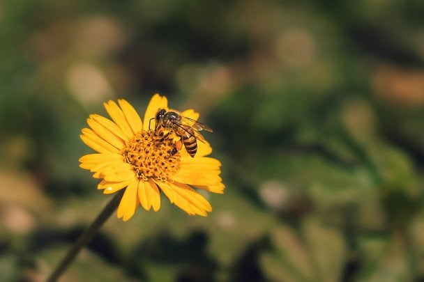 Народні прикмети 14 серпня / © unsplash.com