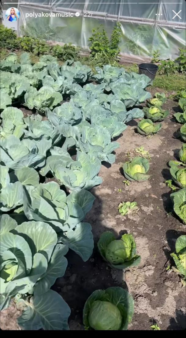 Урожай Оля Полякова / © instagram.com/polyakovamusic
