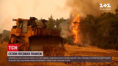 Новини світу: кілька європейських країн потерпають від задухи та лісових пожеж