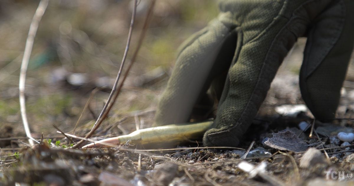 Уолли / © Нина Грушецкая