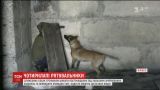 В Чернигове служебных собак учили искать пострадавших под завалами